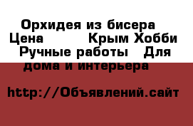 Орхидея из бисера › Цена ­ 800 - Крым Хобби. Ручные работы » Для дома и интерьера   